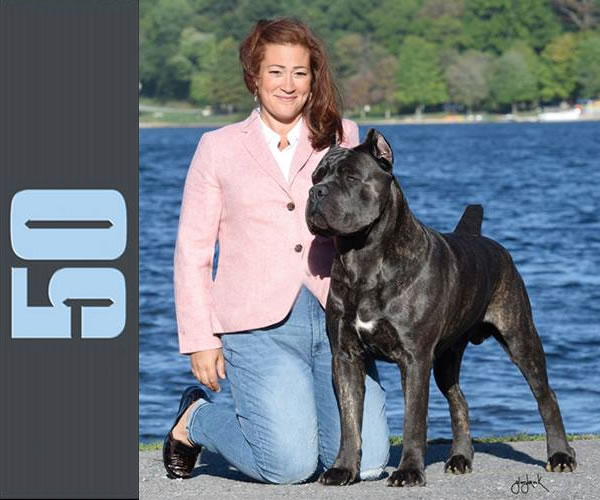 About Time Cane Corso Italiano - Genuine Versality!