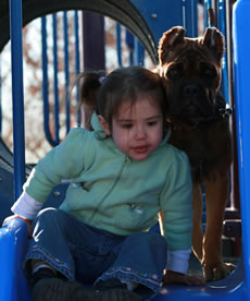 Cane Corso Security System, Protecting Your Kids