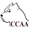 CCAA, Cane Corso Association of America