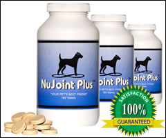 NuJoint Hip and Joint Supplement