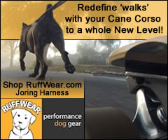 RuffWear Performance Dog Gear, Joring Harness: Take walks with your Cane Corso to a whole new level!