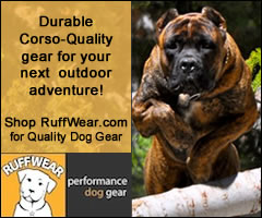 RuffWear Performance Dog Gear, Outdoor Gear, Jackets, Coats, All Season Paw Protection Dog Boots, Dog Packs, Lifejackets, Leashes, Joring Harnesses, and more! 